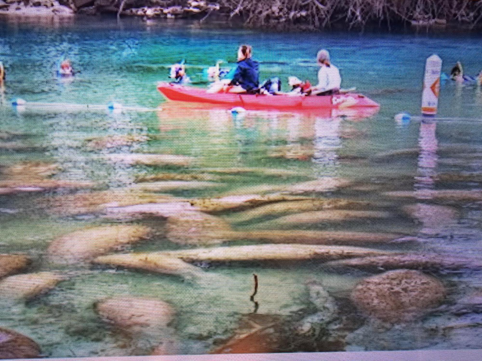Manatee Watch Den Crystal River Exterior foto